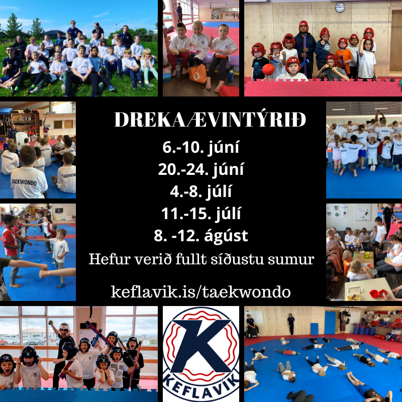 Sumarið hjá Taekwondo