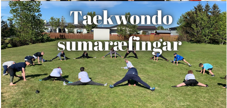 Sumarnámskeið hjá Taekwondo