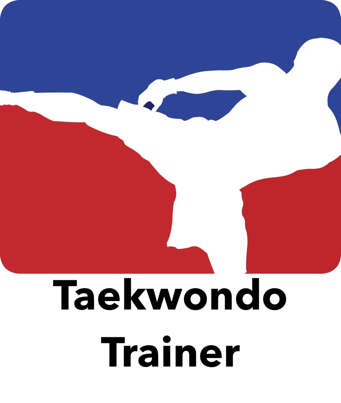 Taekwondo Trainer